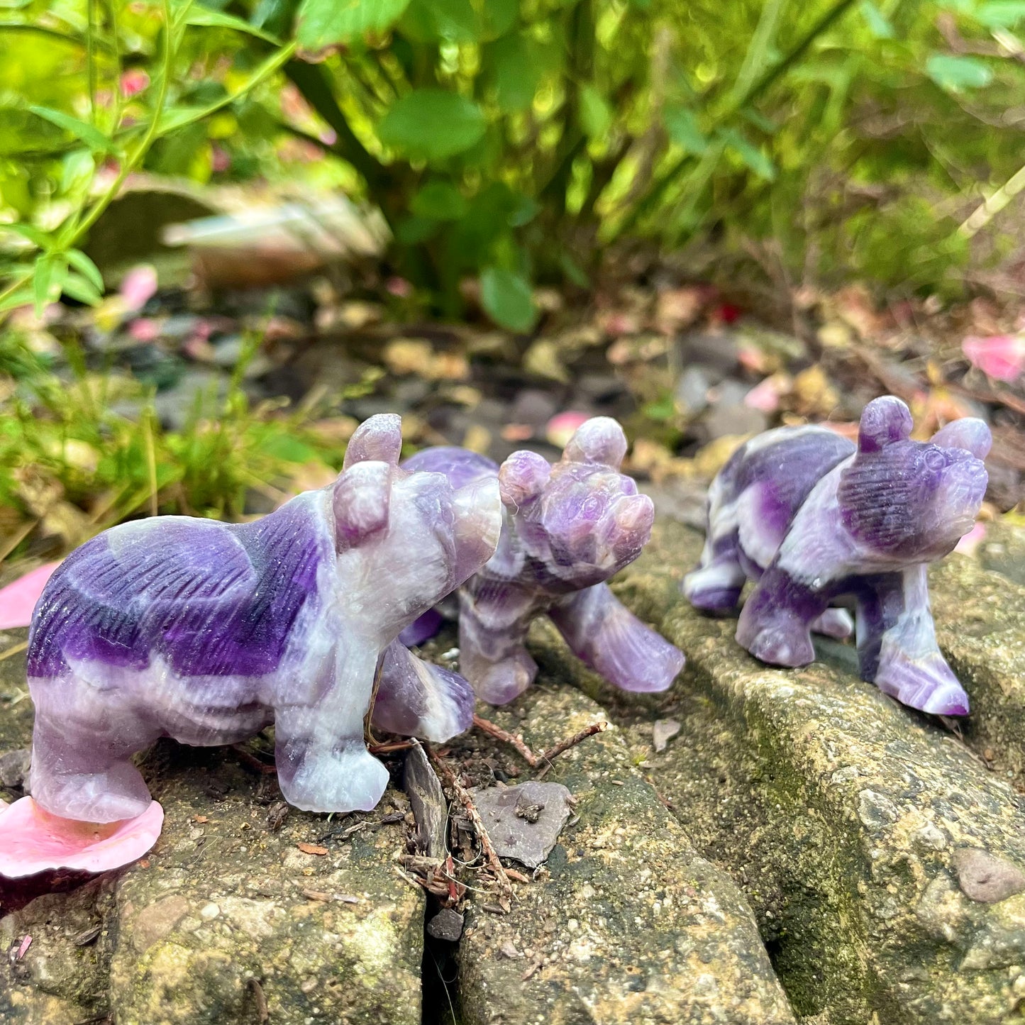 Dream Amethyst Raw Bears π»βοΈ