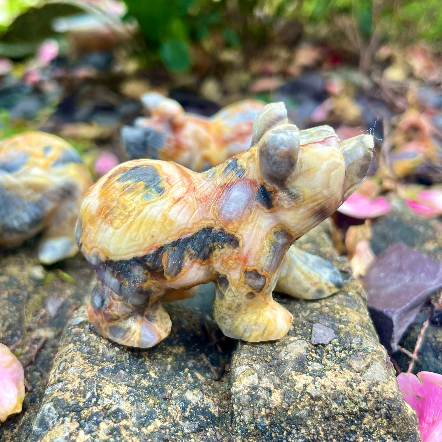 Crazy Lace Agate Raw Bears π»