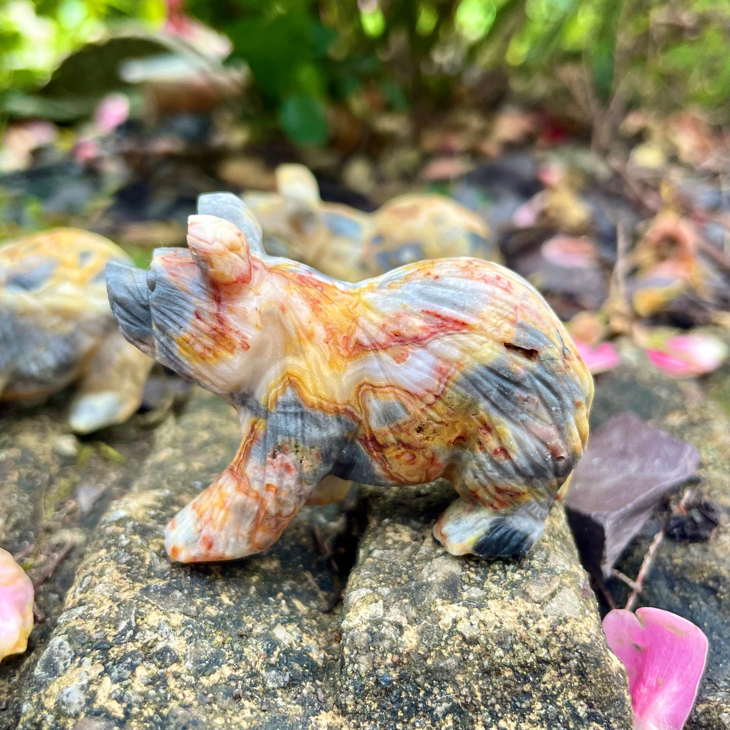 Crazy Lace Agate Raw Bears π»