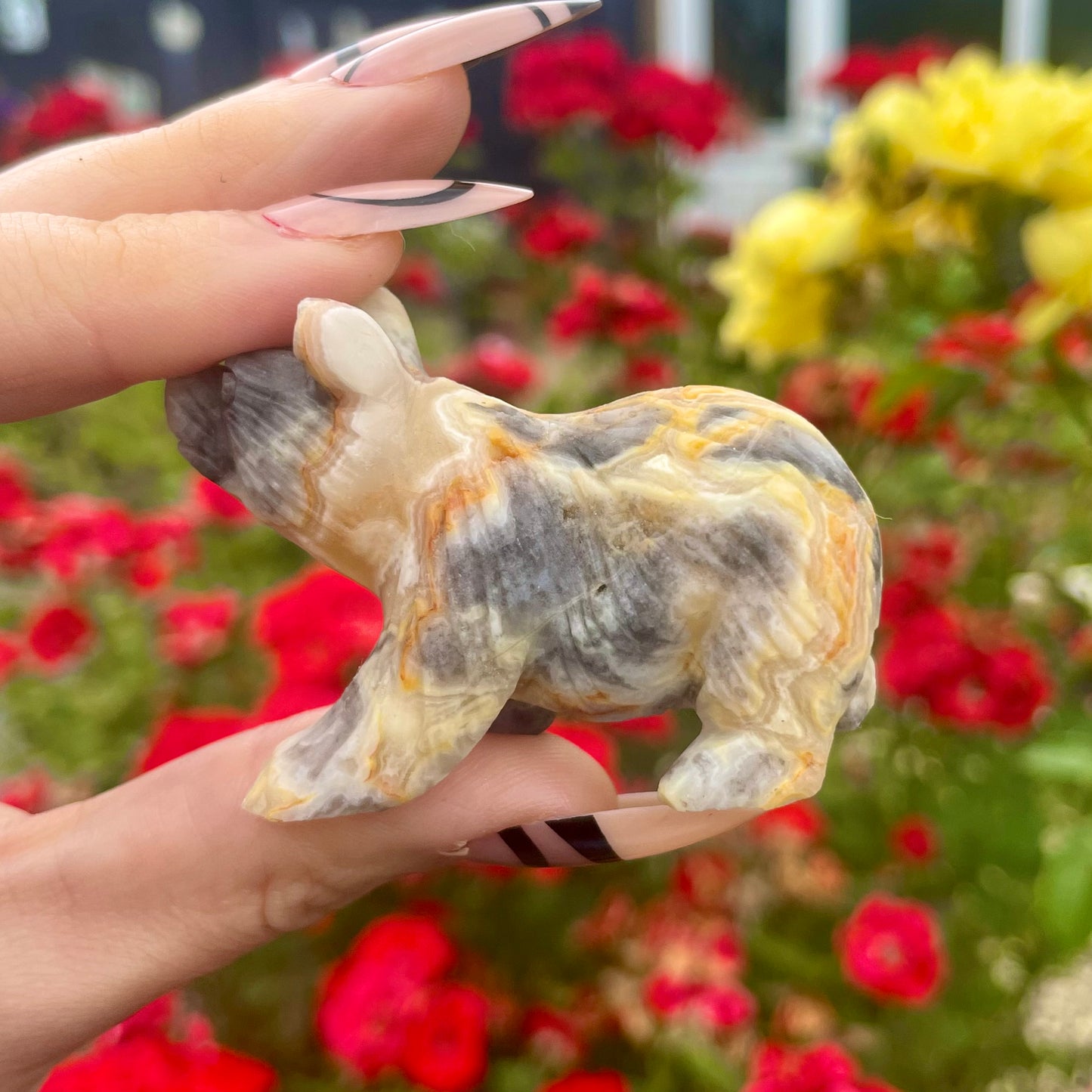 Crazy Lace Agate Raw Bears π»