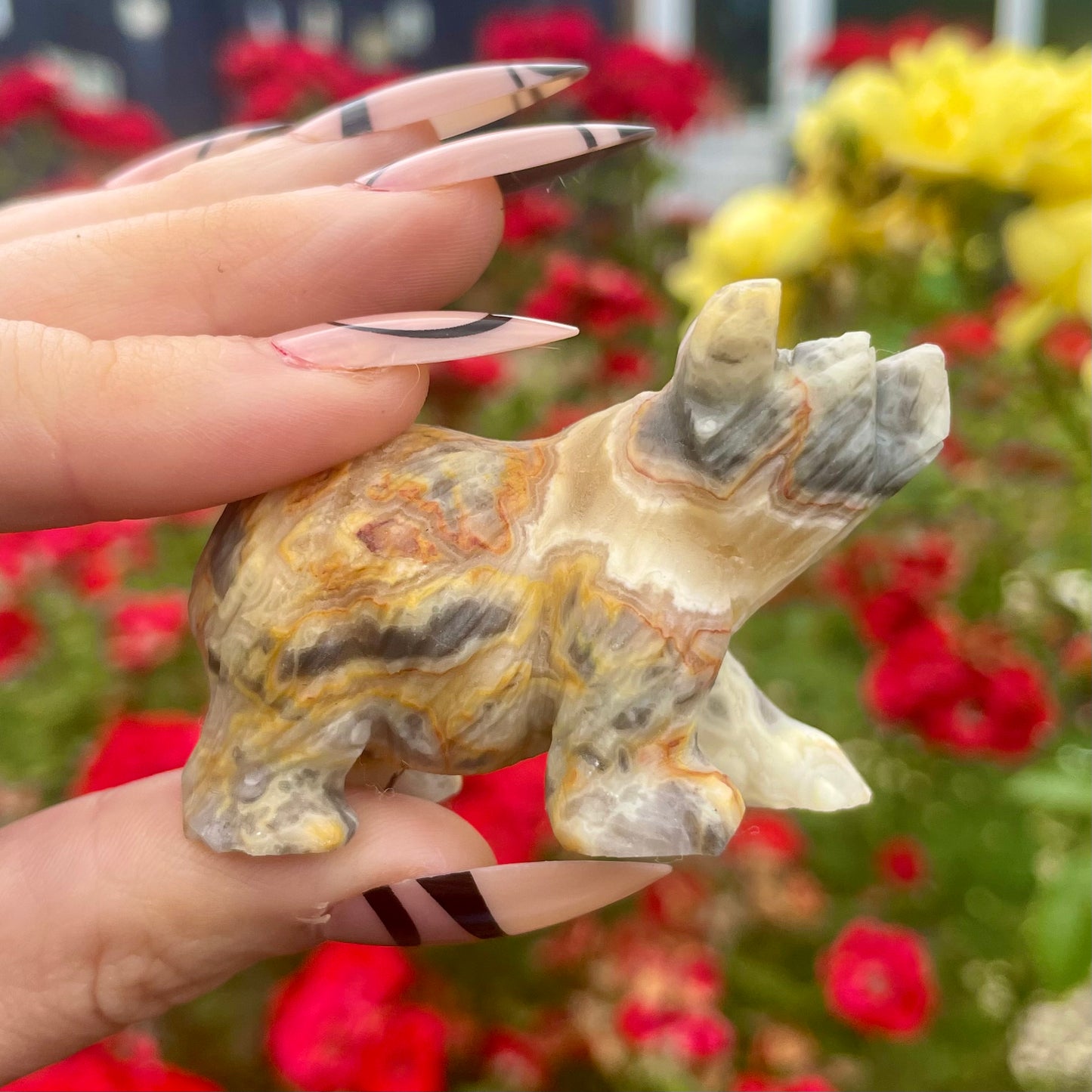 Crazy Lace Agate Raw Bears π»