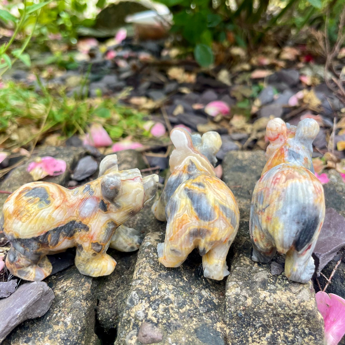 Crazy Lace Agate Raw Bears π»