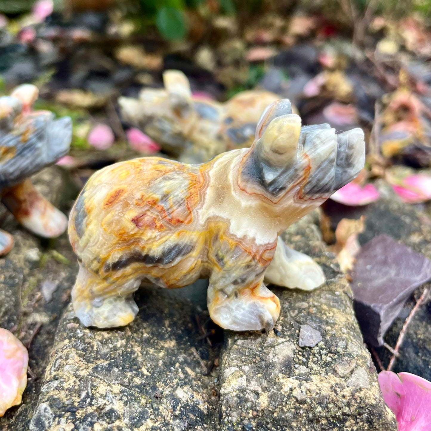 Crazy Lace Agate Raw Bears π»