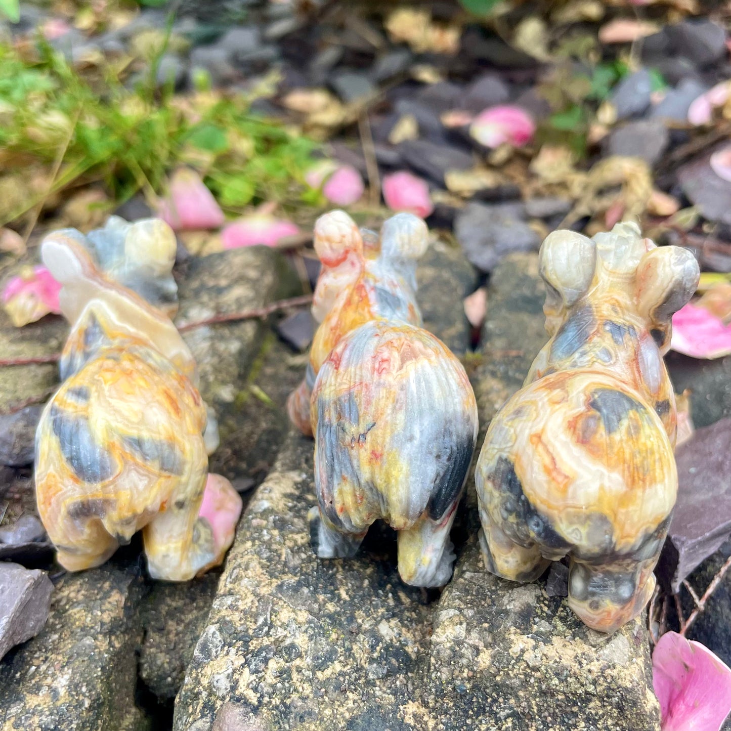 Crazy Lace Agate Raw Bears π»