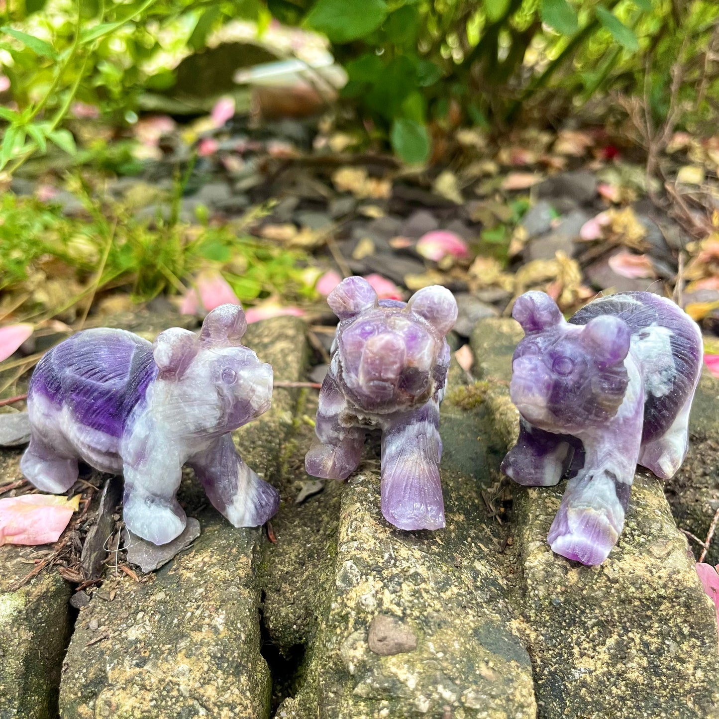 Dream Amethyst Raw Bears π»βοΈ