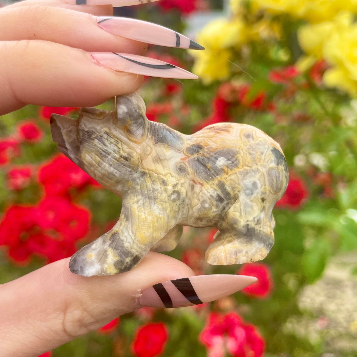 Crazy Lace Agate Raw Bears π»