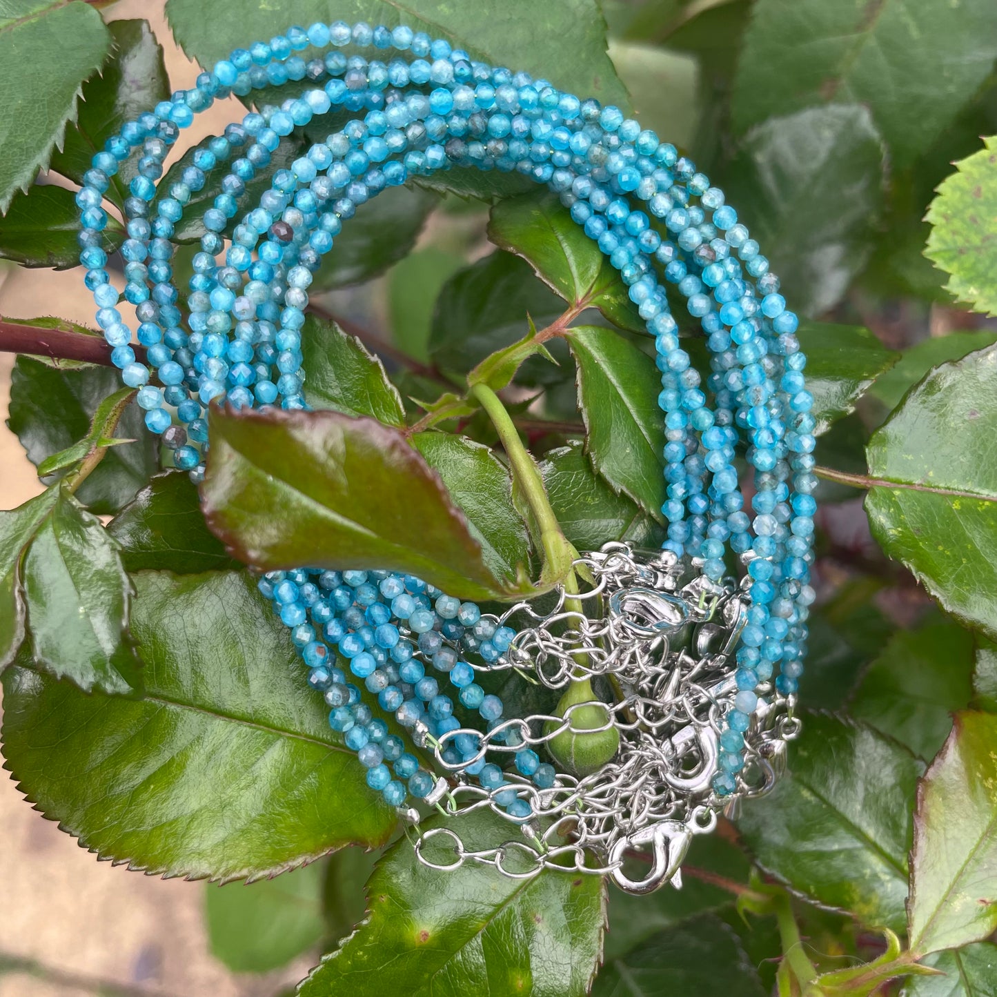 Apatite Minimalist Bracelet 🦋