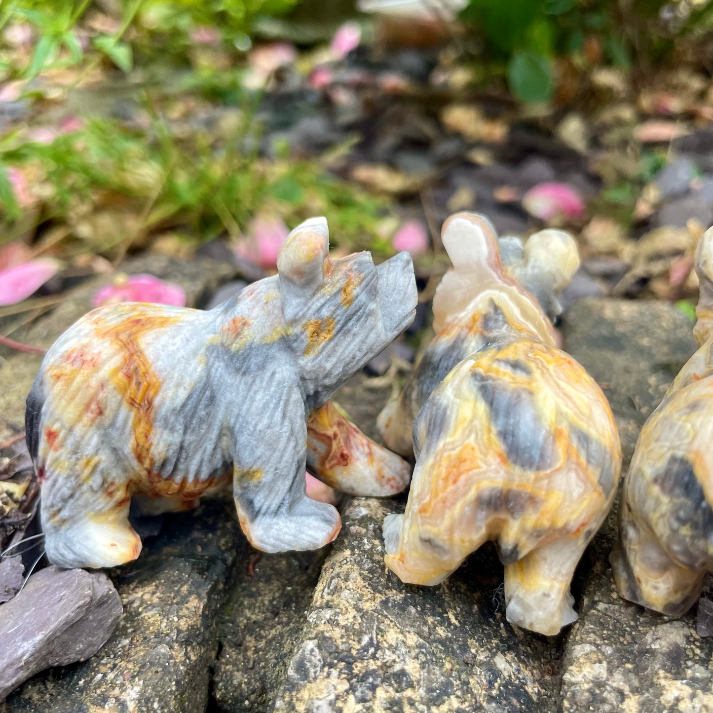 Crazy Lace Agate Raw Bears π»