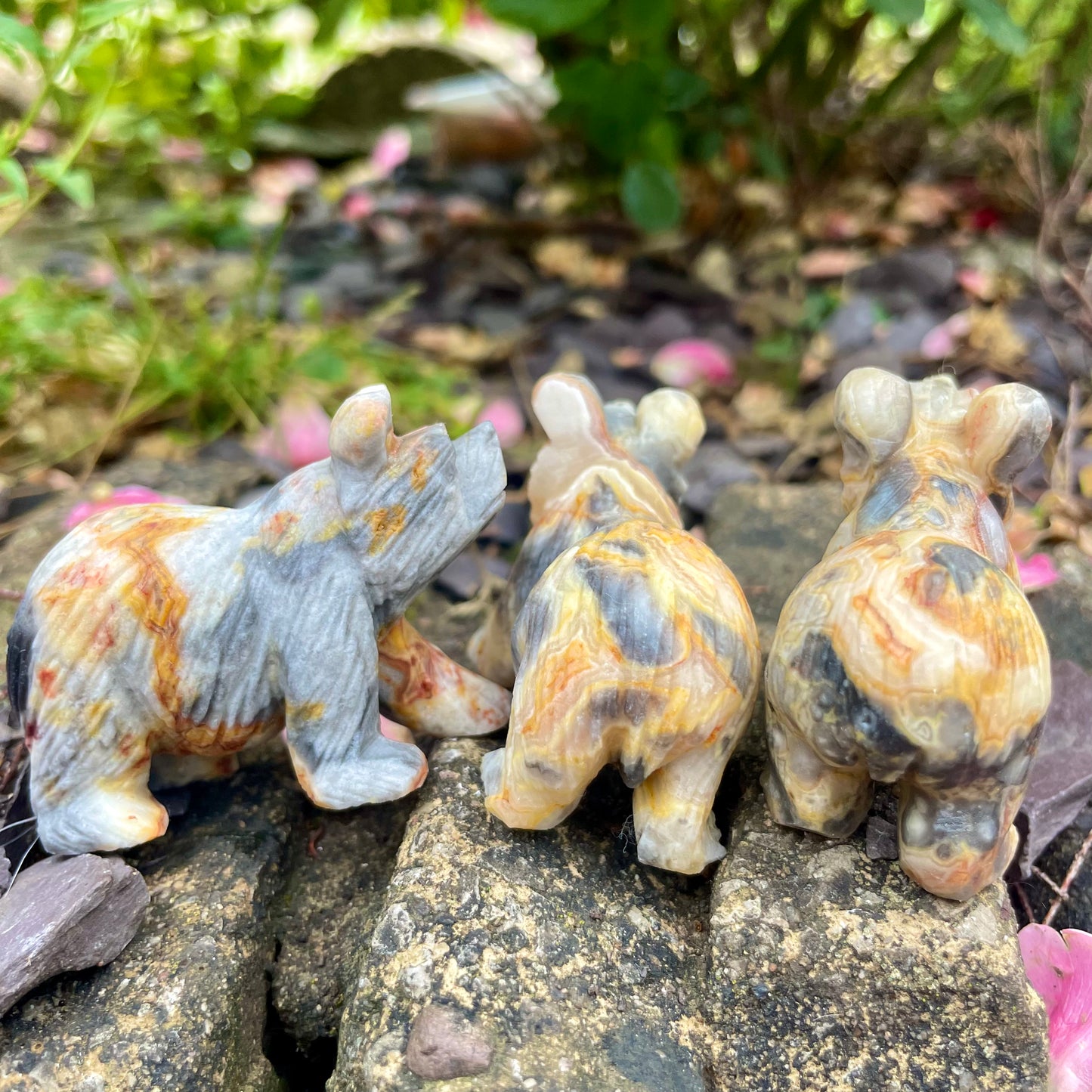 Crazy Lace Agate Raw Bears π»