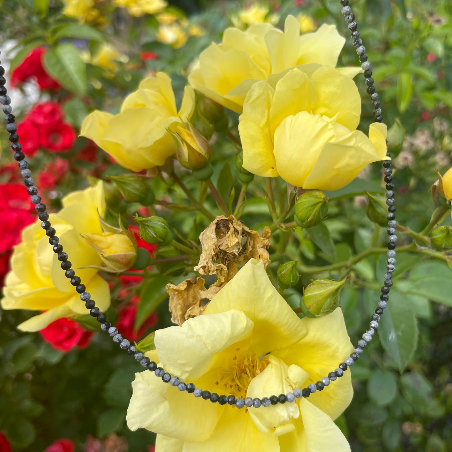 Snowflake Obsidian Choker Necklace
