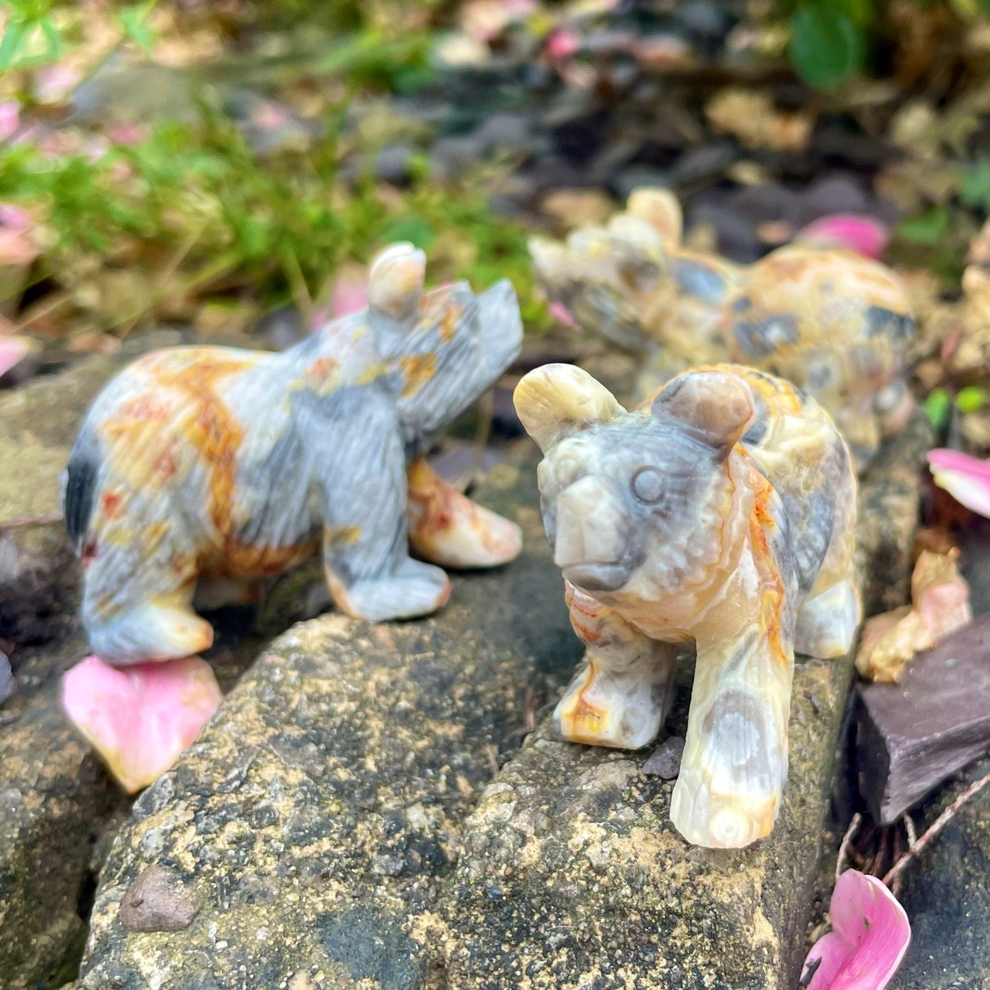 Crazy Lace Agate Raw Bears π»