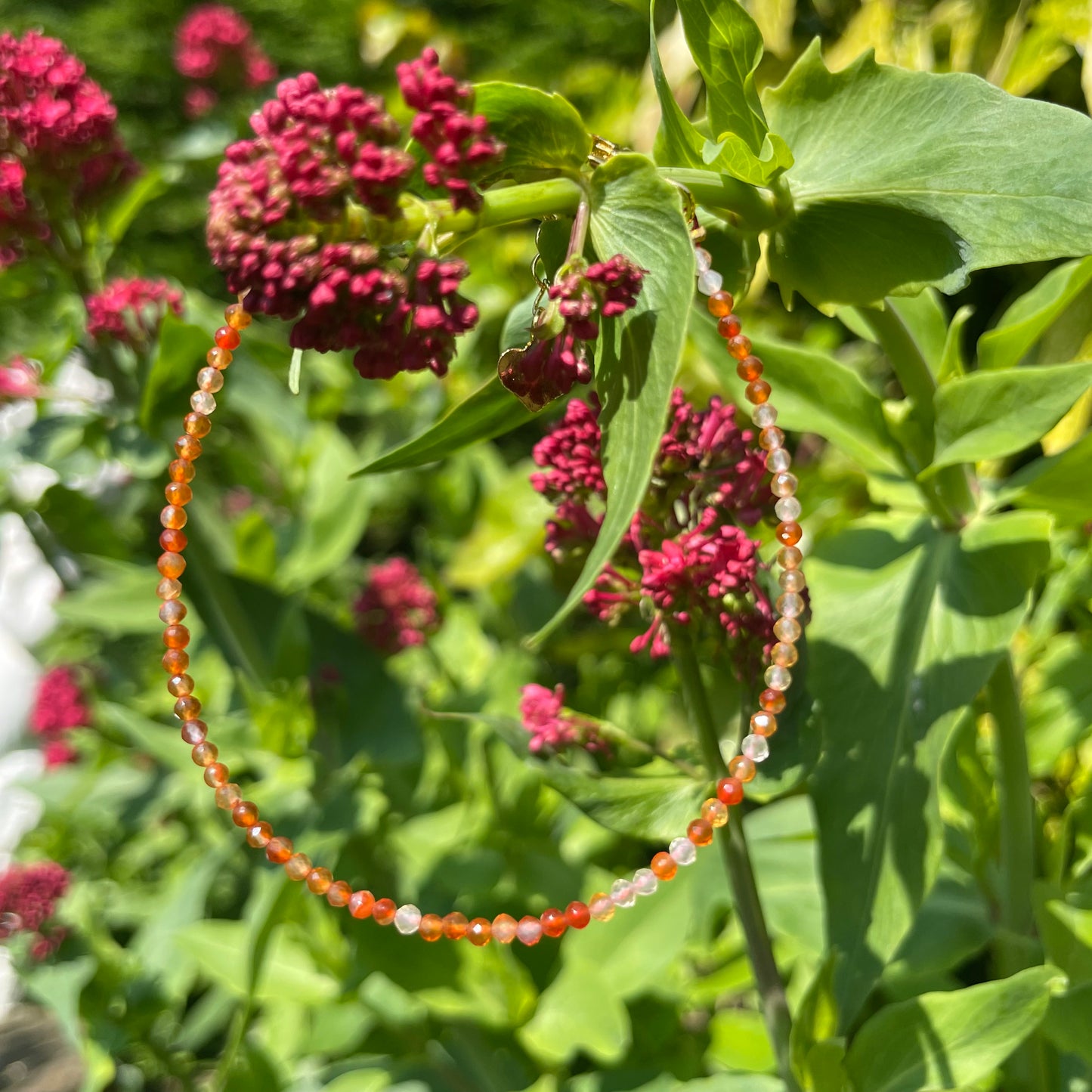 Carnelian Adjustable Mininalist Bracelet