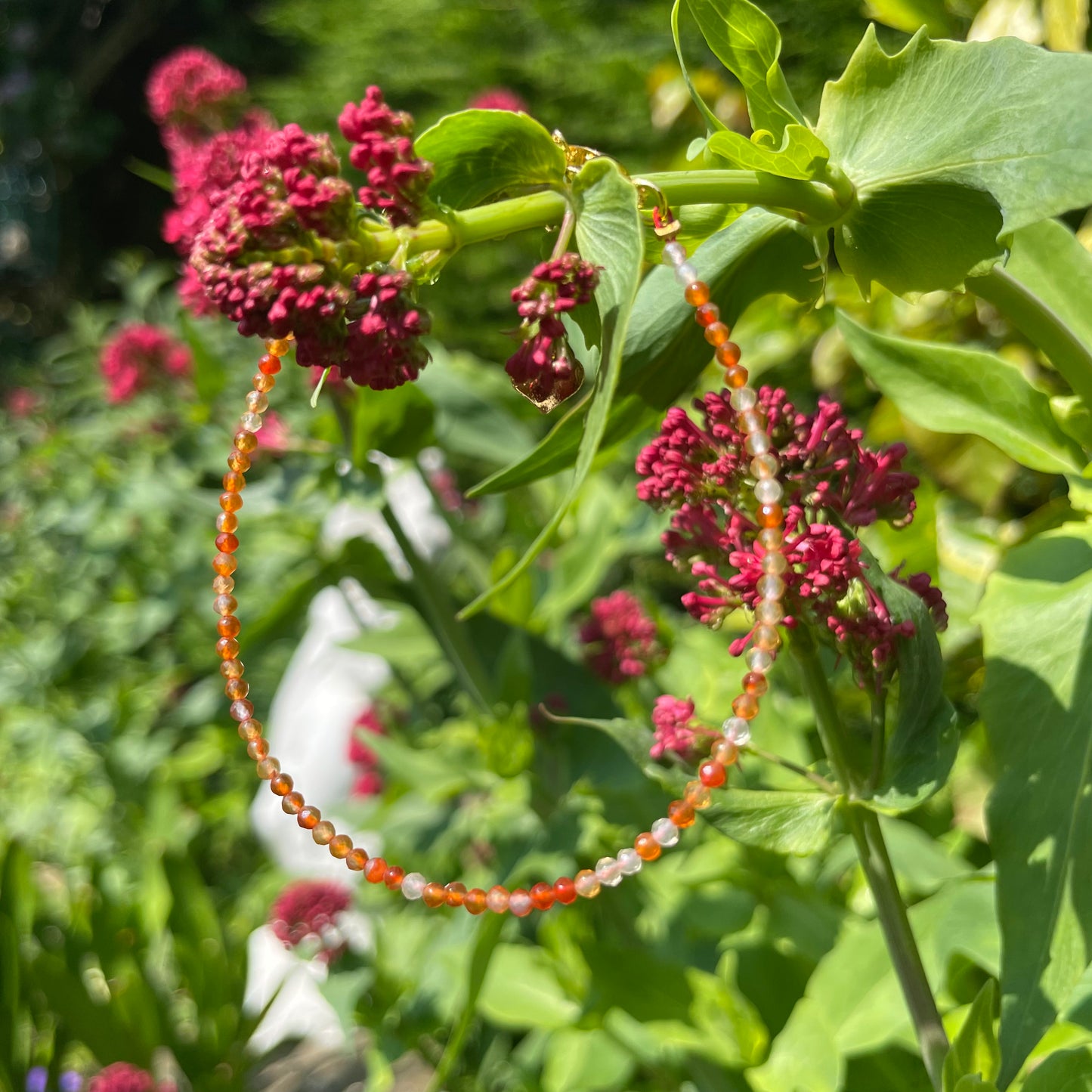 Carnelian Adjustable Mininalist Bracelet