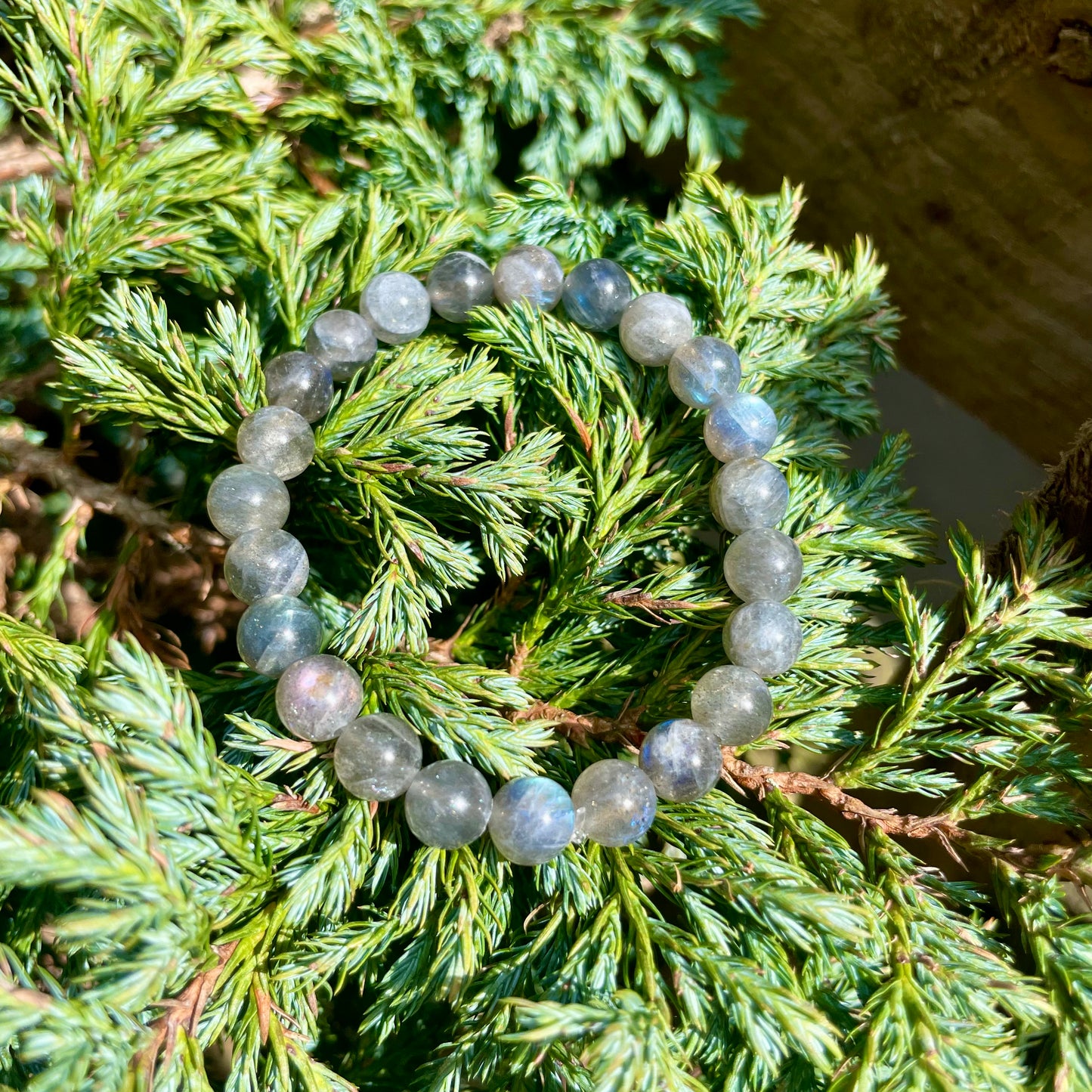 Labradorite Beaded Bracelet 🧿✨