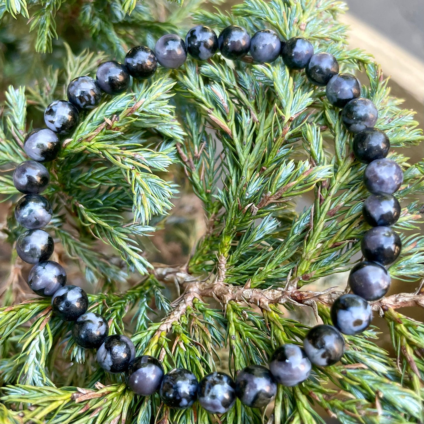 Indigo Gabbro (Mystic Merlinite) 6mm Stone Beaded Bracelet 🌚👽