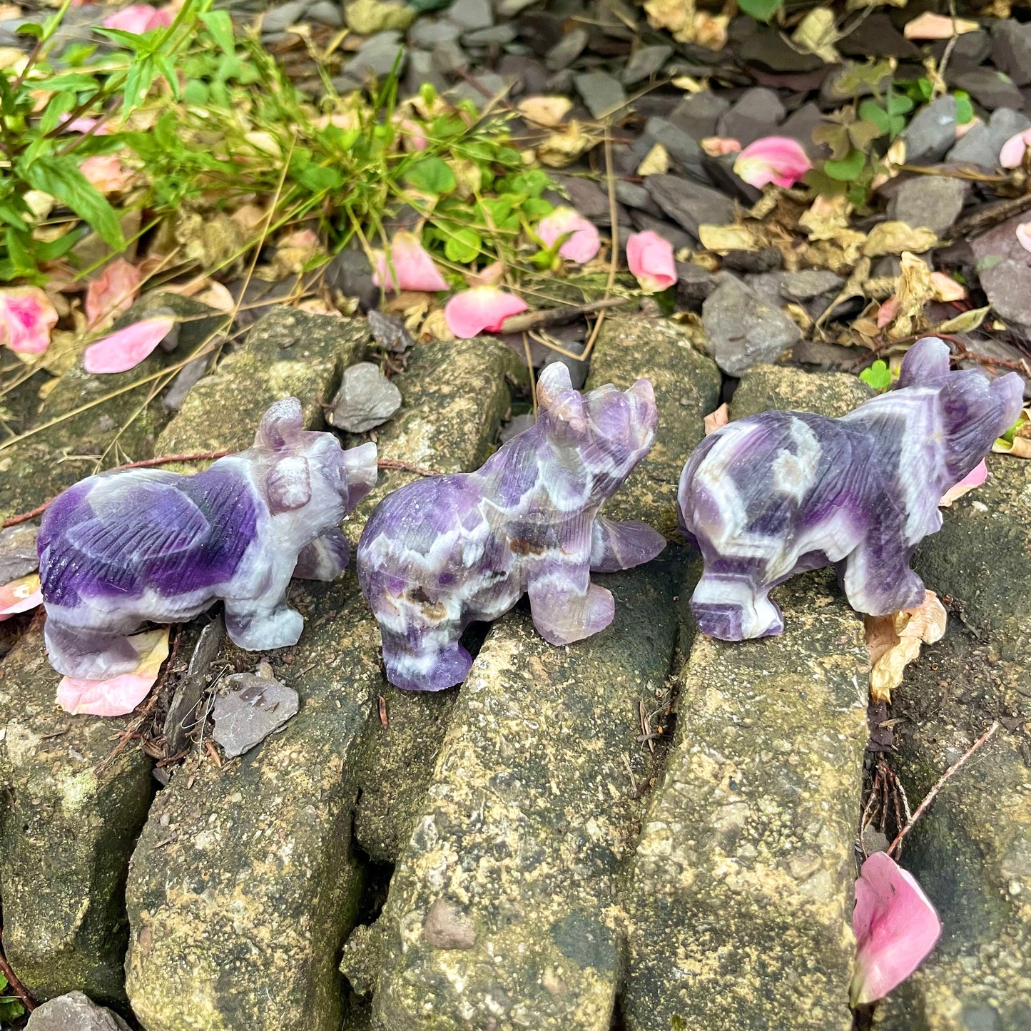 Dream Amethyst Raw Bears 🐻♒️