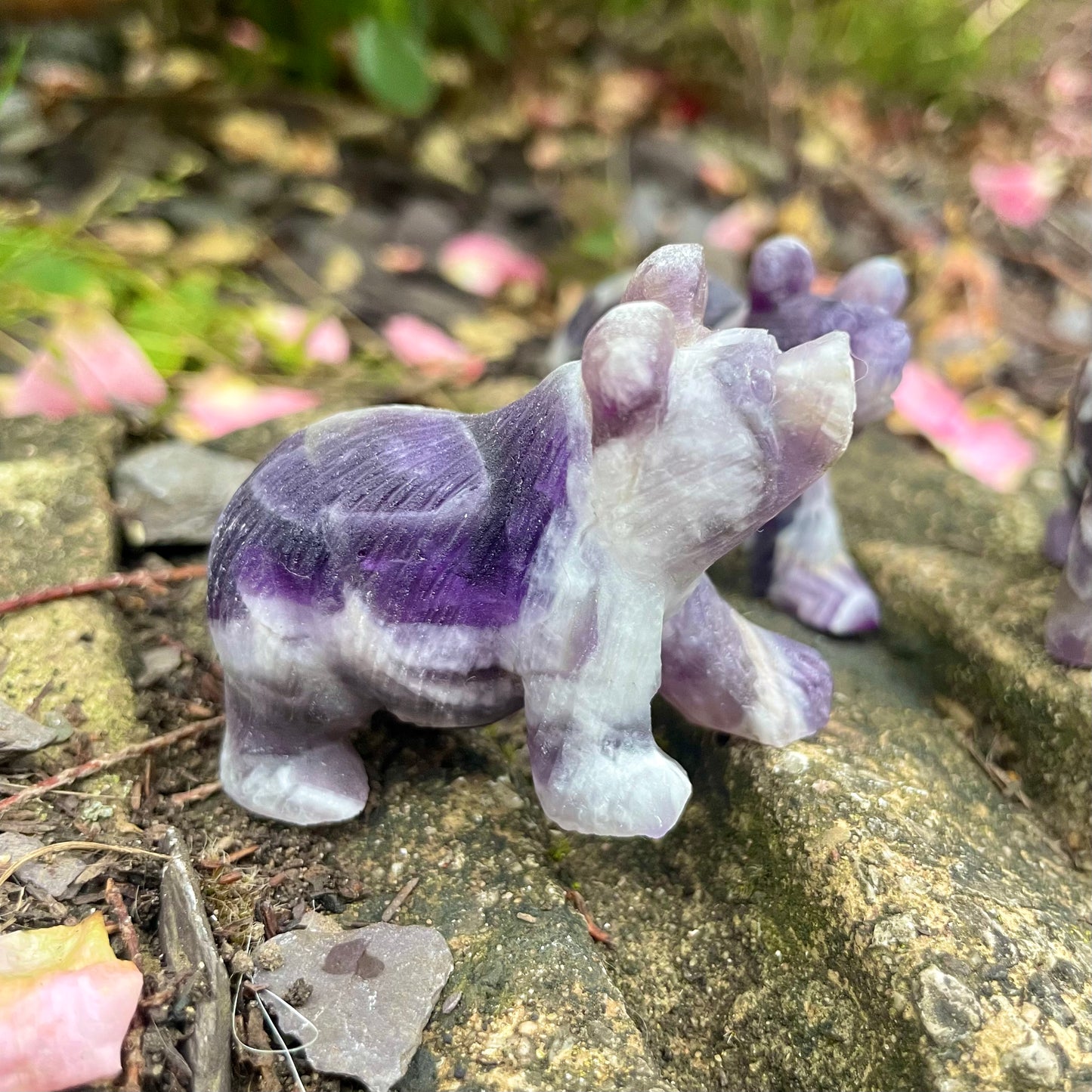 Dream Amethyst Raw Bears 🐻♒️