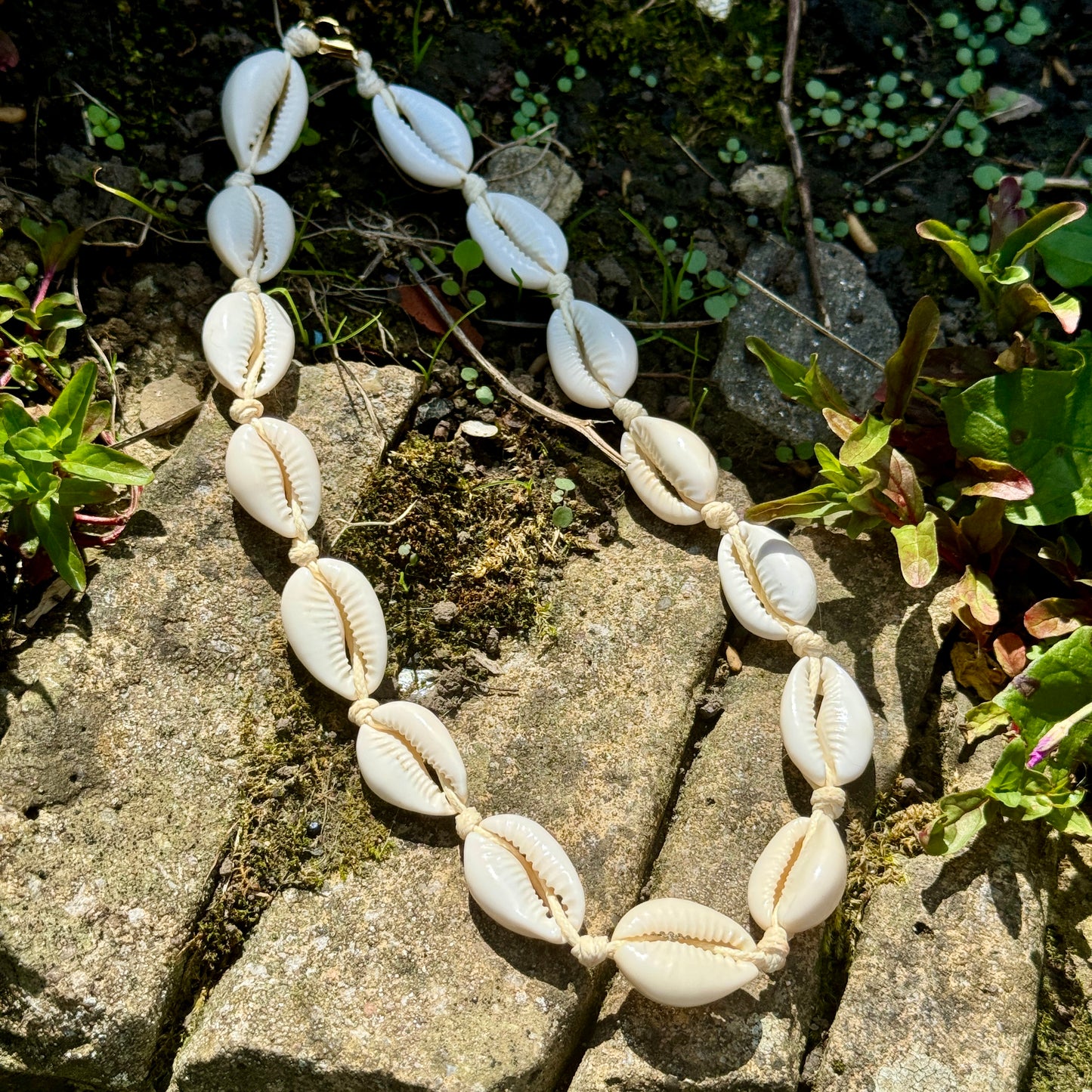 Cowrie Shell Mermaid Choker 🐚