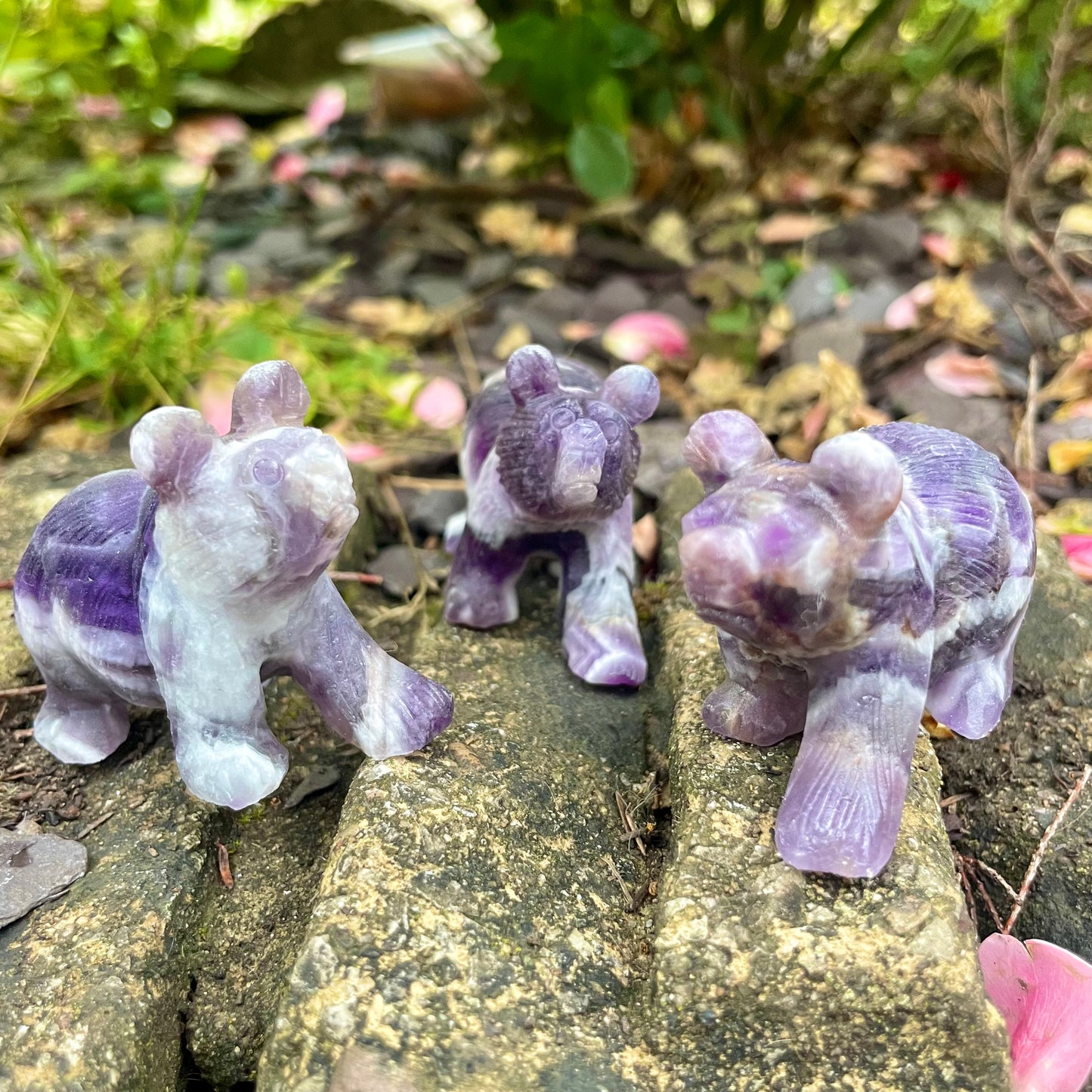 Dream Amethyst Raw Bears 🐻♒️