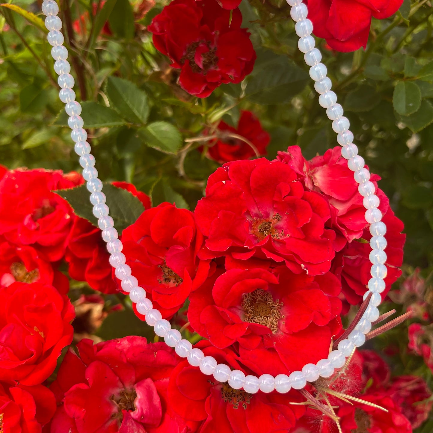 Opalite Choker Necklace