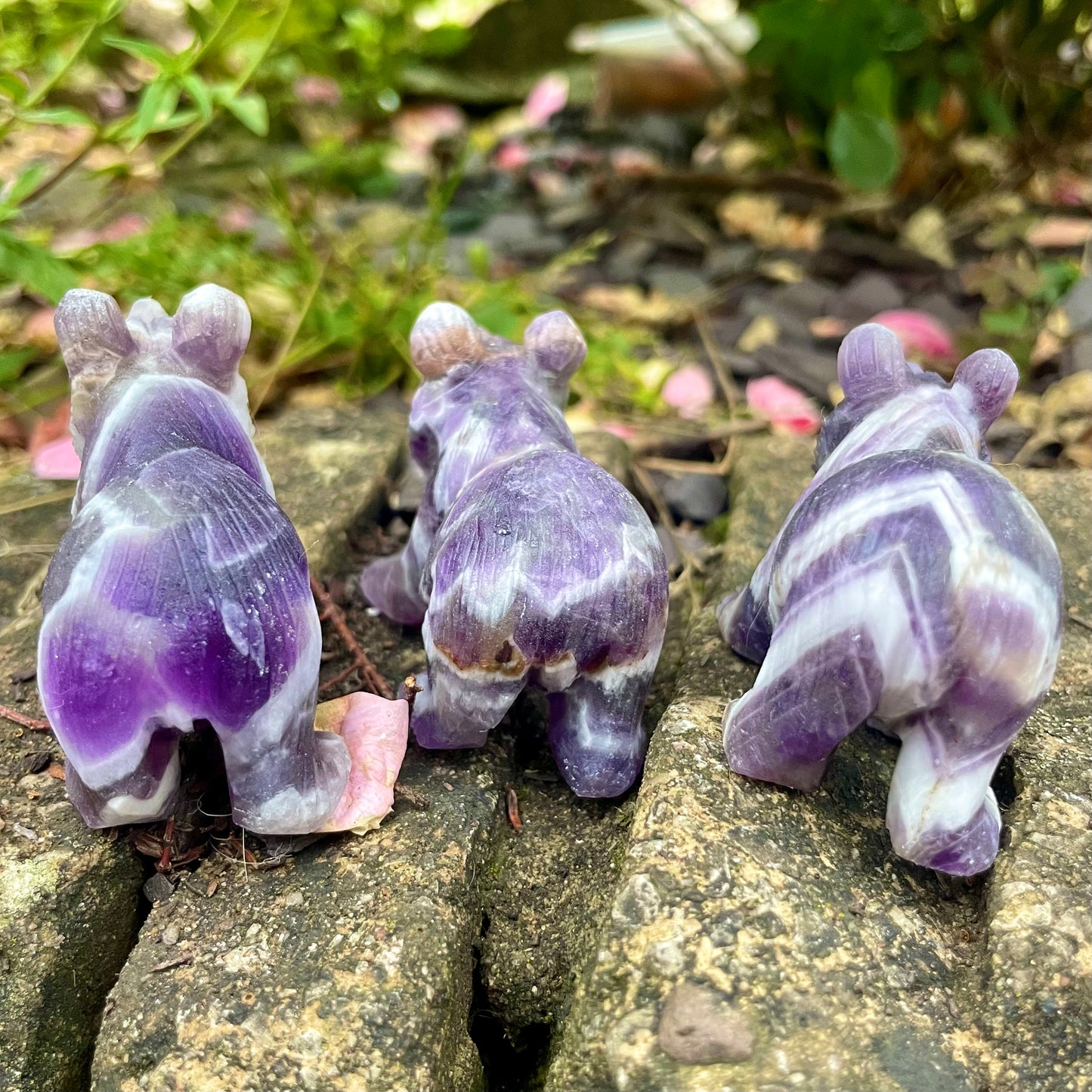 Dream Amethyst Raw Bears 🐻♒️
