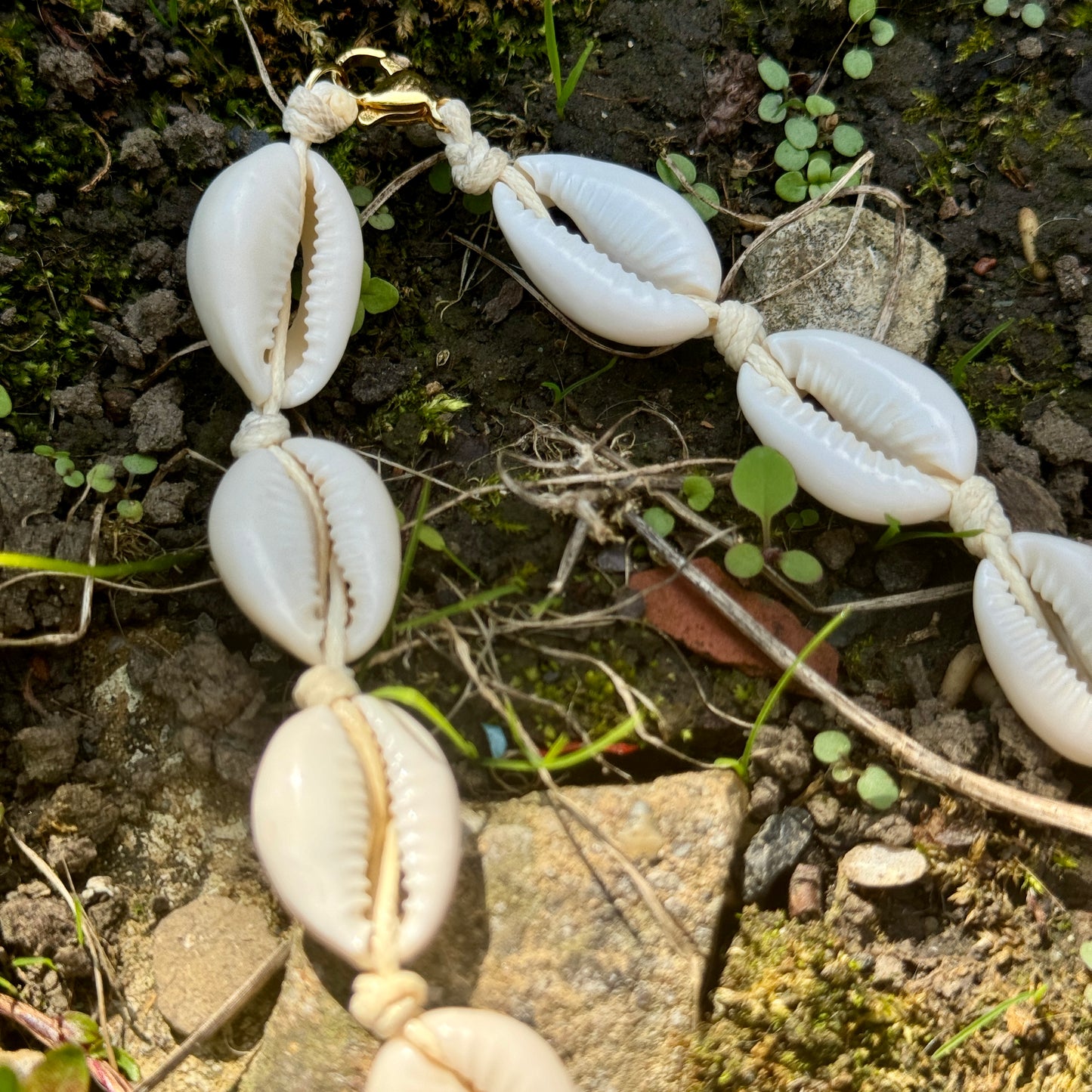Cowrie Shell Mermaid Choker 🐚