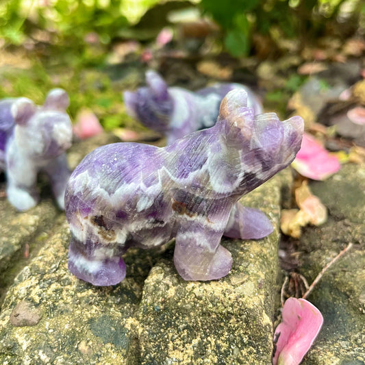 Dream Amethyst Raw Bears 🐻♒️