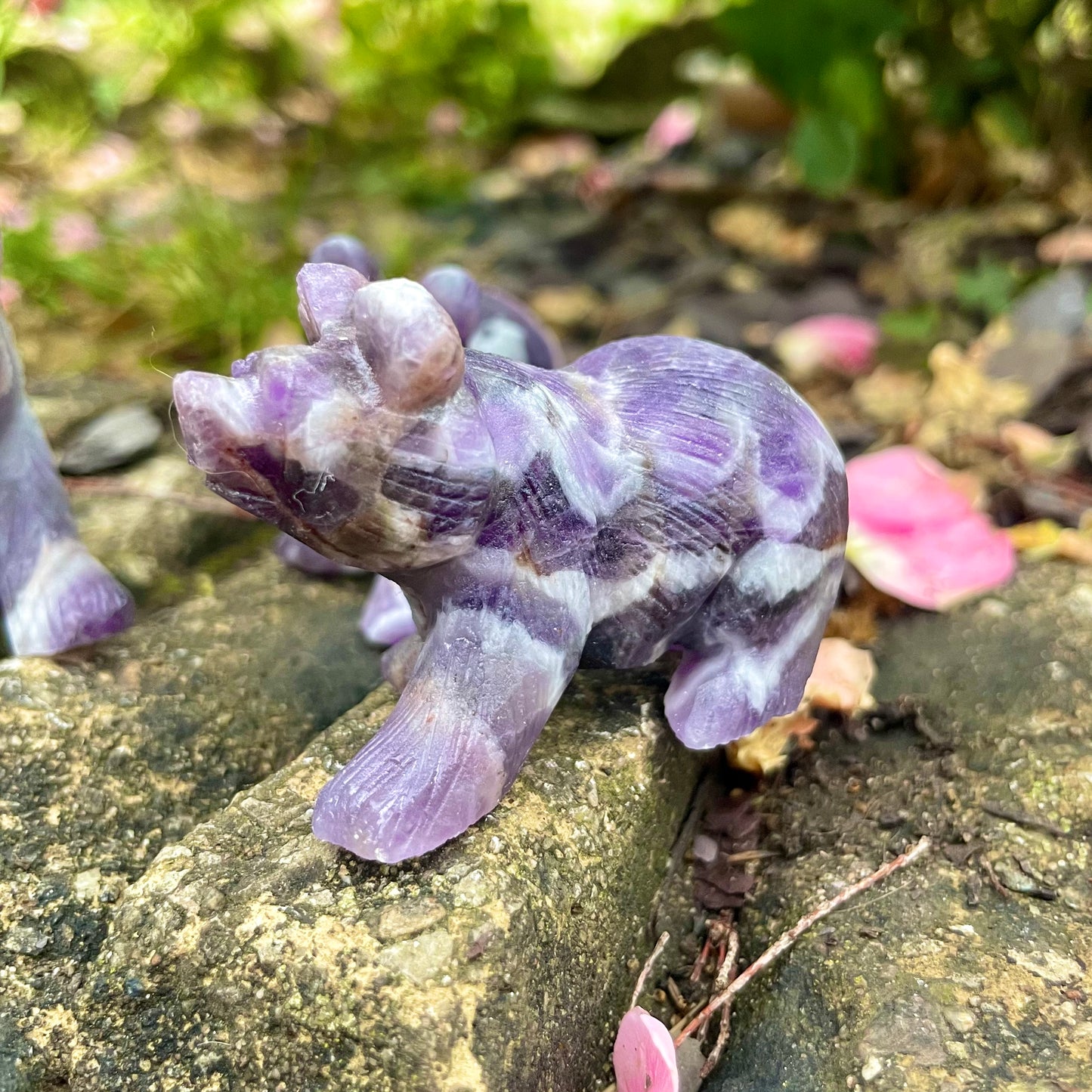 Dream Amethyst Raw Bears 🐻♒️