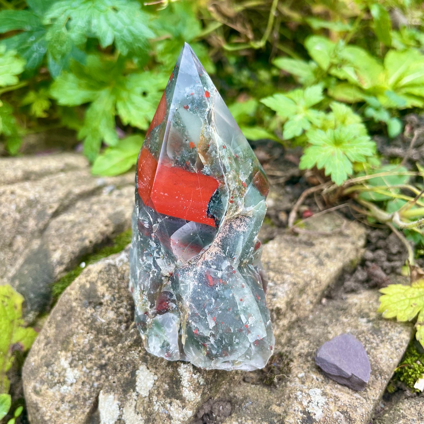 African Bloodstone Half Polished Point 222g