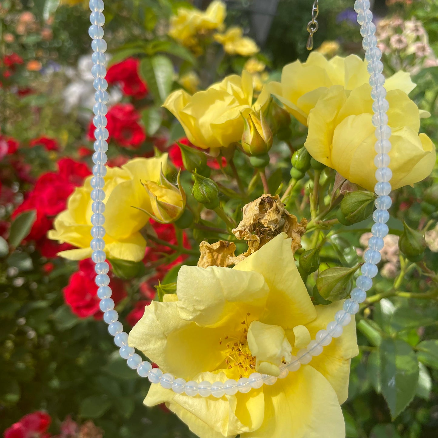Opalite Choker Necklace