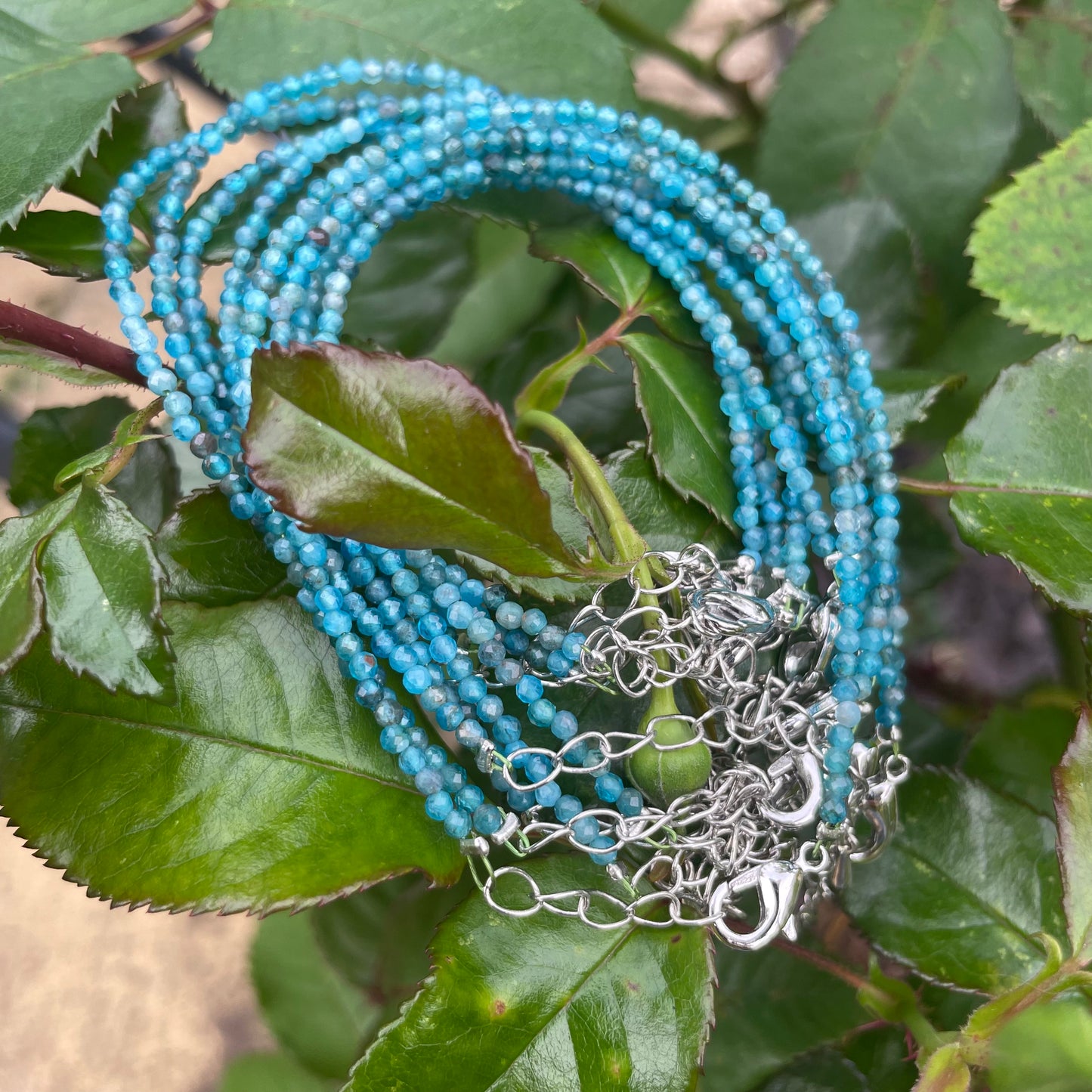 Apatite Minimalist Bracelet 🦋