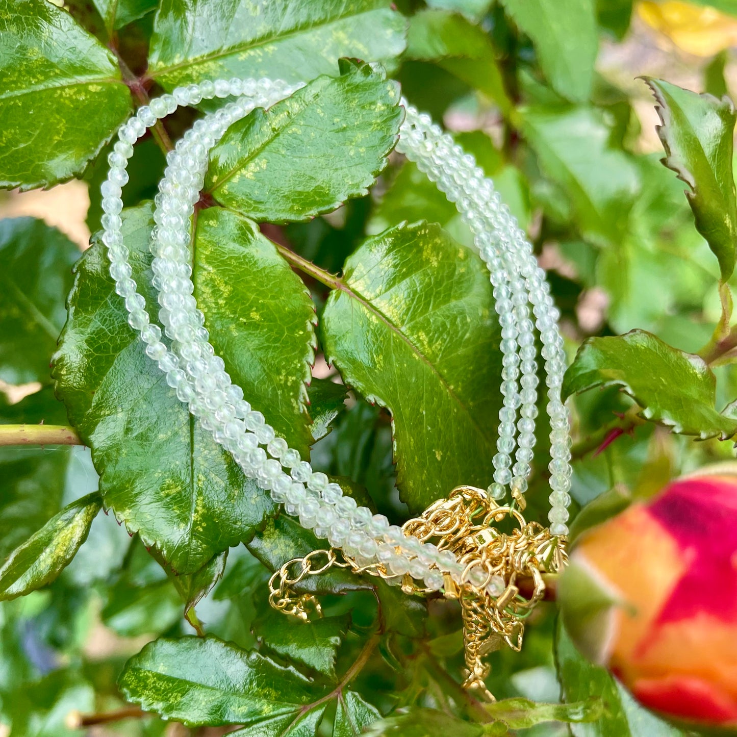 Prehnite Minimalist Bracelet 💚