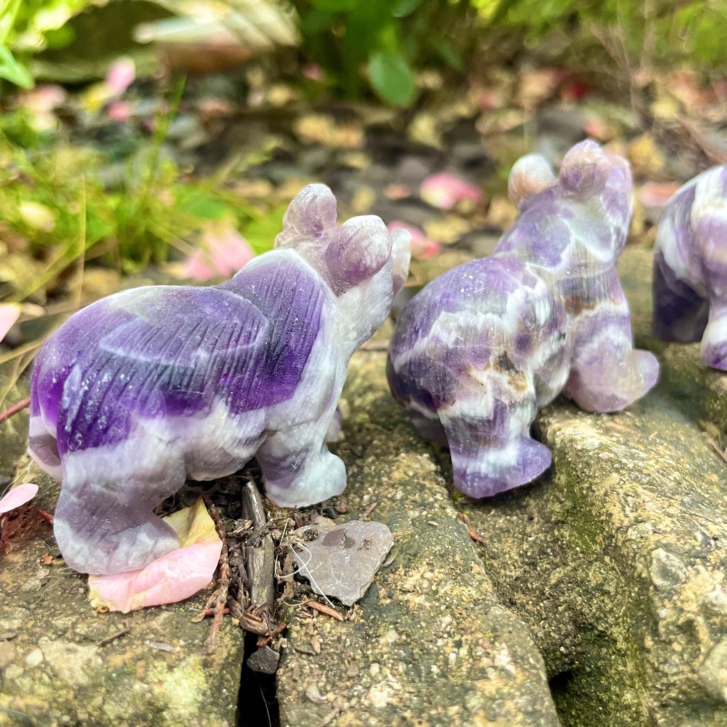 Dream Amethyst Raw Bears 🐻♒️