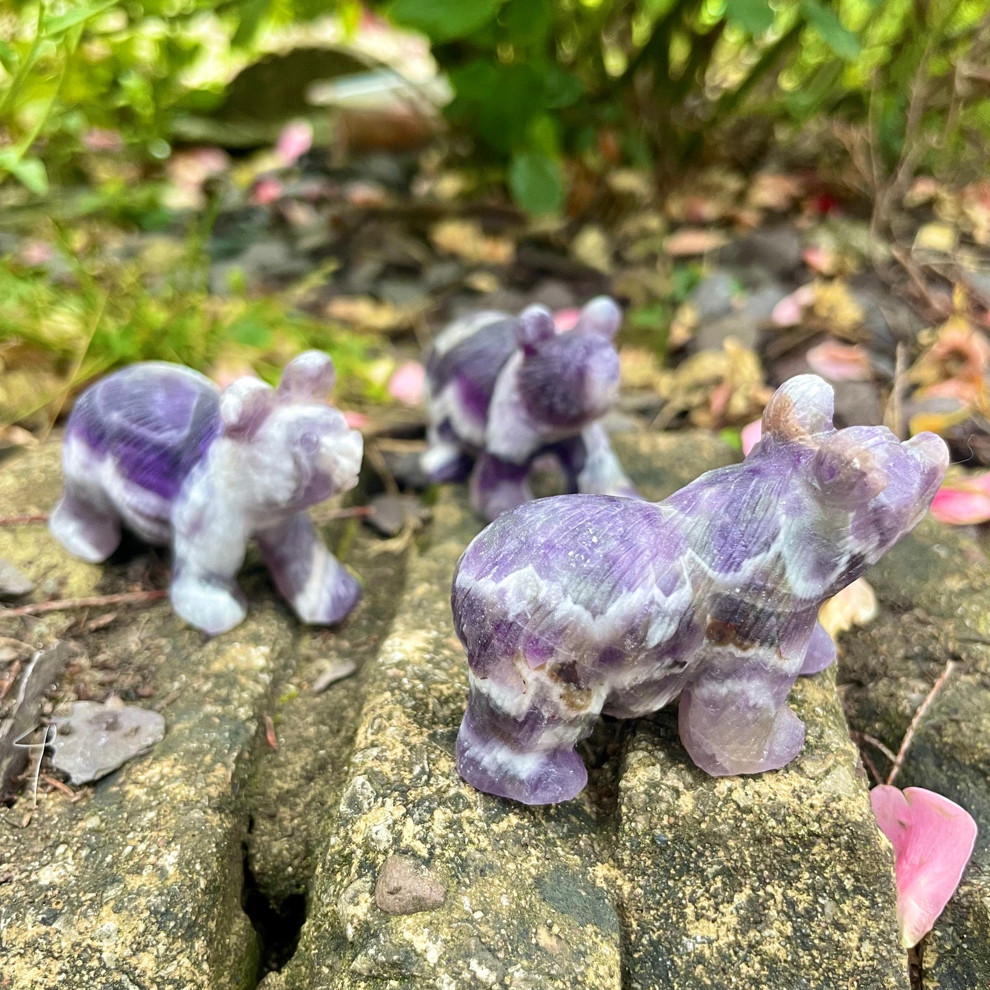 Dream Amethyst Raw Bears 🐻♒️