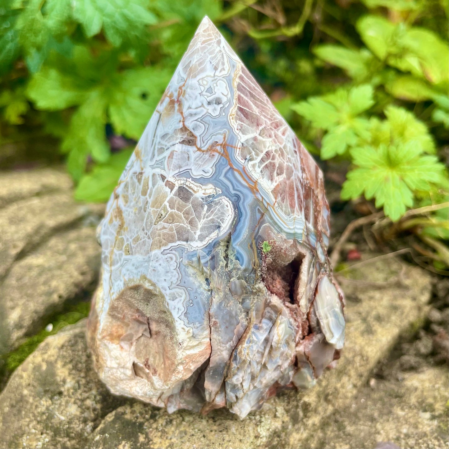 Mexican Crazy Lace Agate Half Polished Point 320g