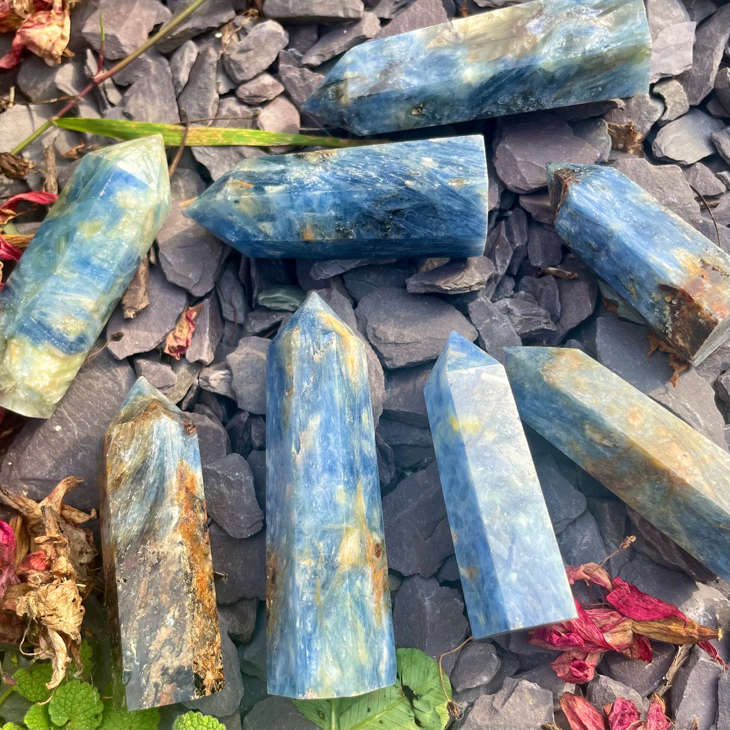 Natural Blue Kyanite Towers 9-10cm