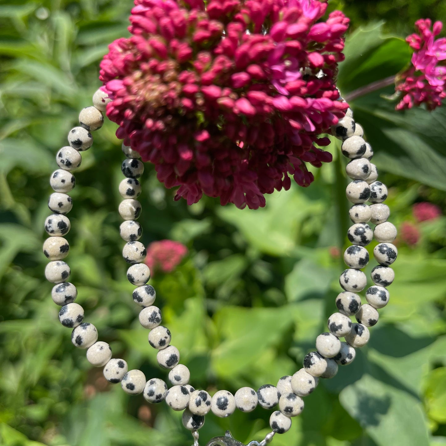 Crazy Lace Agate Choker Necklace