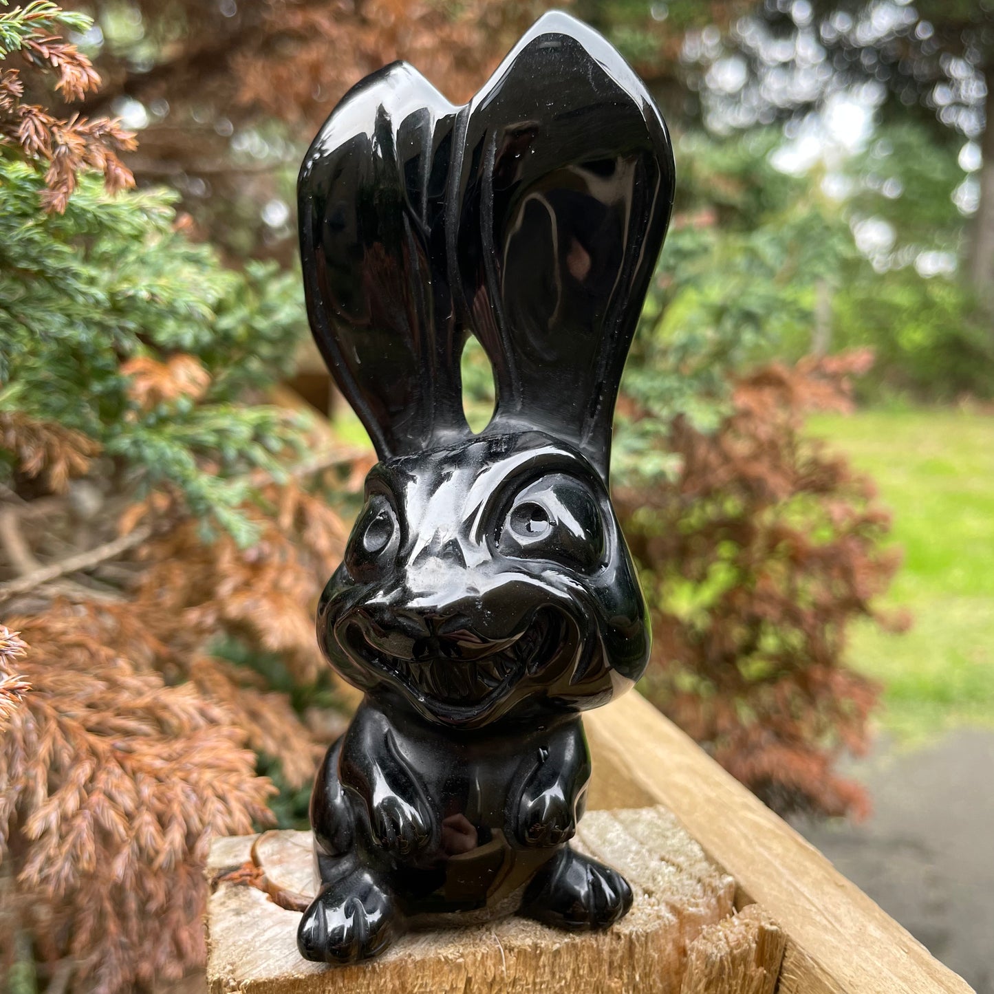 Black Obsidian Creepy but Cute Bunny 🐰🖤