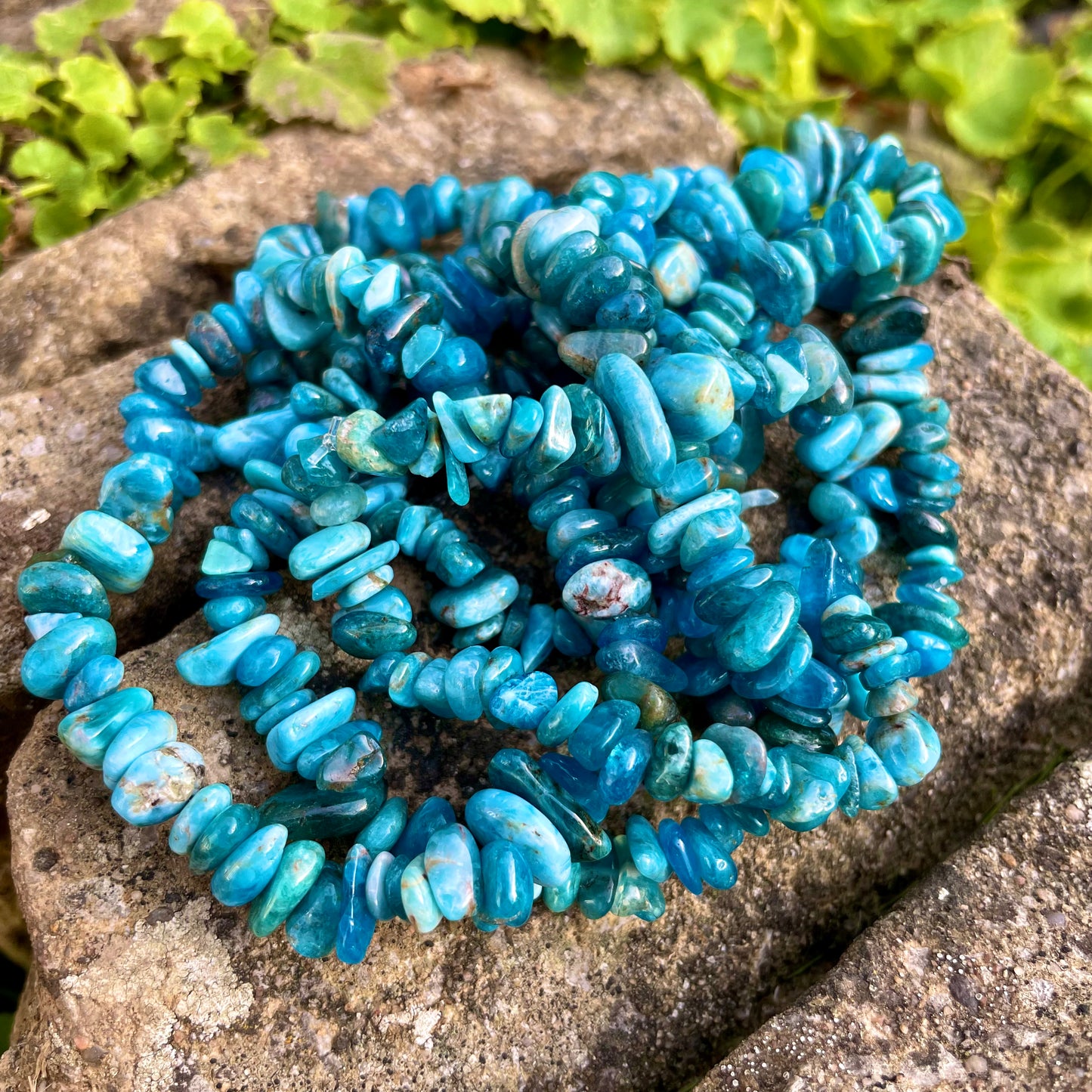 Apatite Chip Bracelets 🦋🦋🦋
