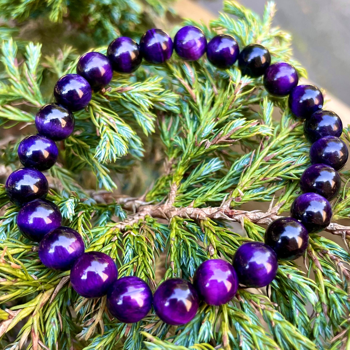 Purple Tigers Eye Beaded Bracelet 🔮🐅💜