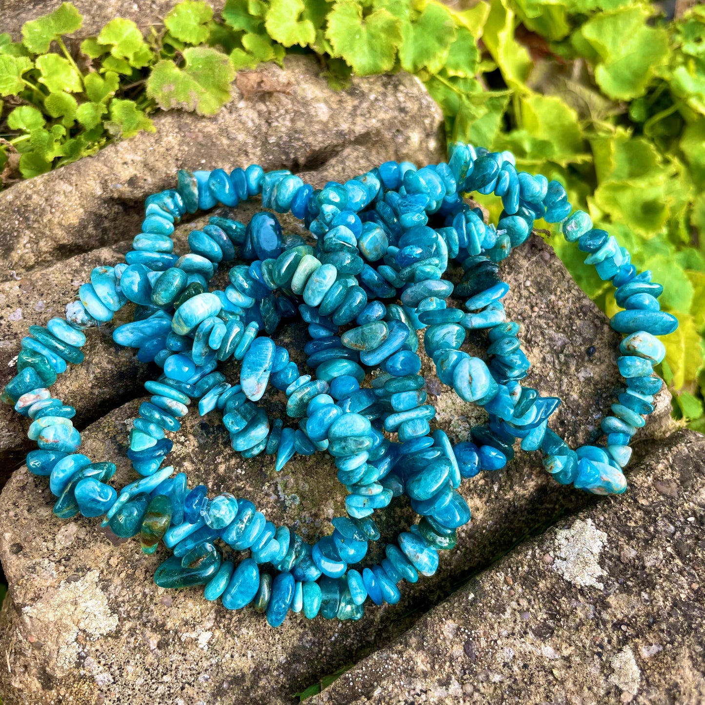 Apatite Chip Bracelets 🦋🦋🦋